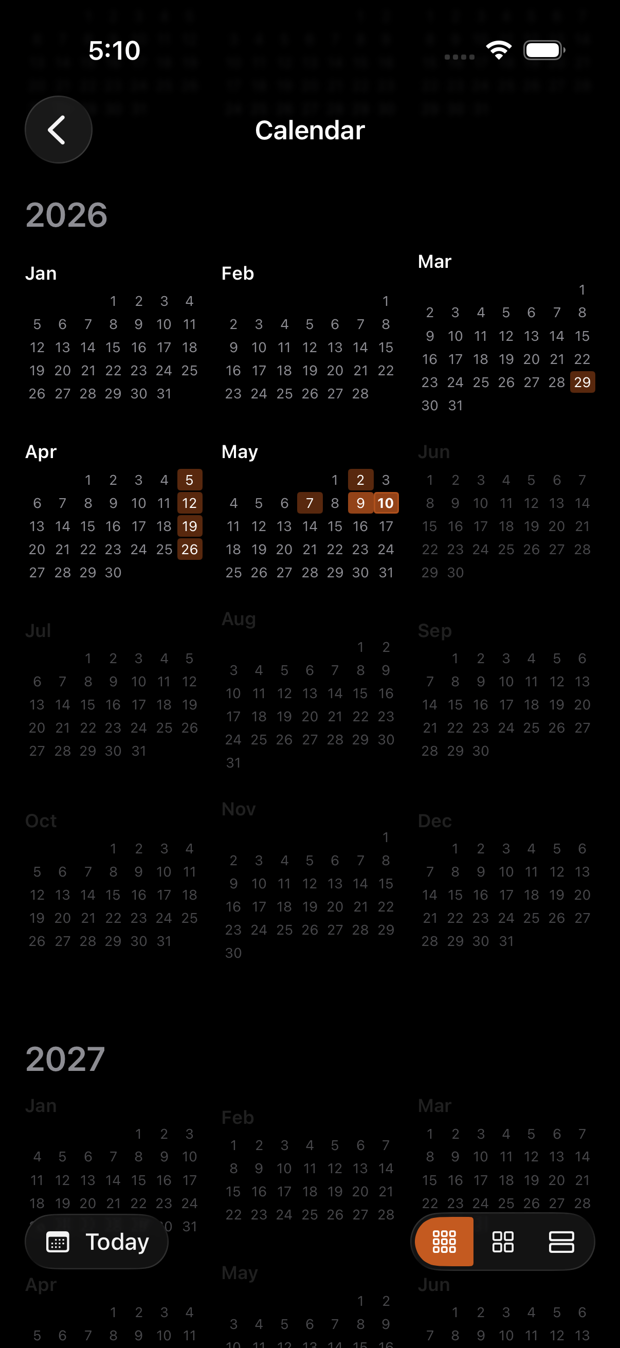 Calendar at year zoom showing 12 mini-months with activity-heat shading